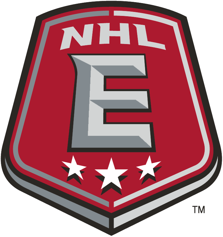 NHL Eastern Conference 2005-Pres Alternate Logo DIY iron on transfer (heat transfer)